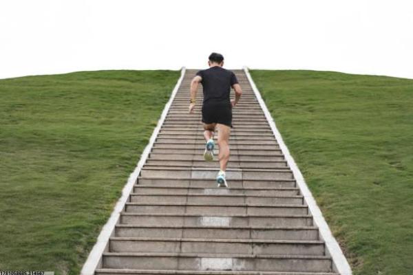 丛台区体育培训优惠活动全面解析